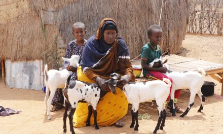 BUILDING OPPORTUNITIES FOR RESILIENCE IN THE HORN OF AFRICA (BORESHA) PROJECT