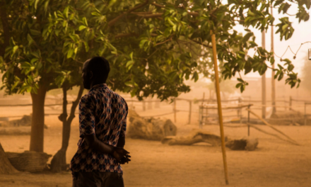 Co-producing weather and climate services: putting principles into practice to strengthen climate-resilient agriculture in West Africa