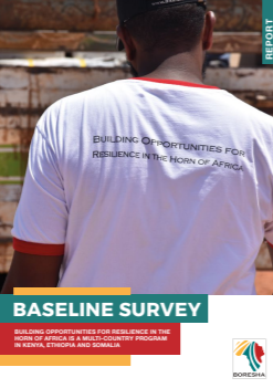 Baseline Survey: Building Opportunities for Resilience in the Horn of Africa