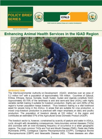 Enhancing Animal Health Services in the IGAD Region