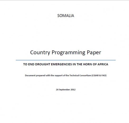 Somalia Country Programming Paper- To End Drought Emergencies in the Horn of Africa
