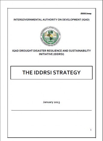 The IDDRSI Strategy